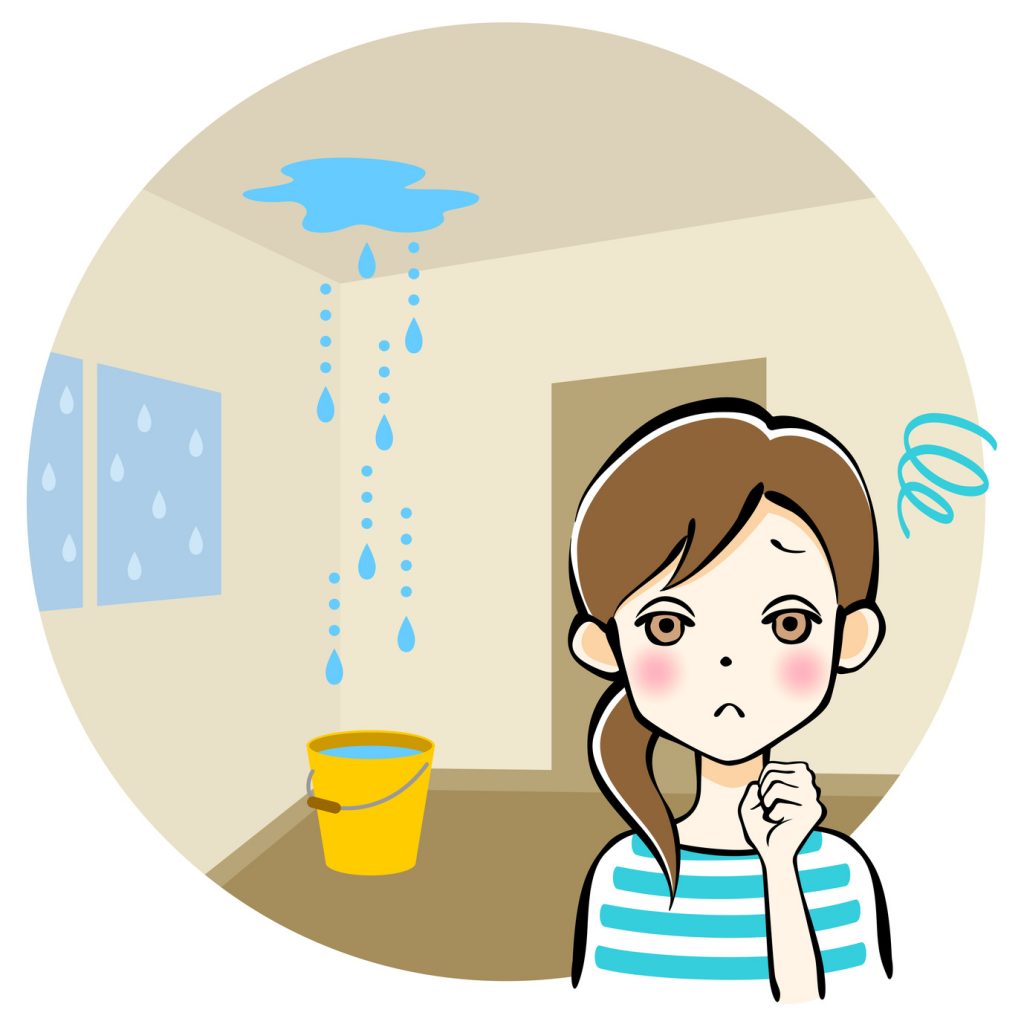 リフォームかし保険とは