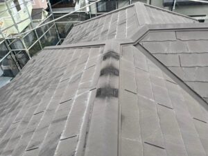 屋根のカビや汚れ