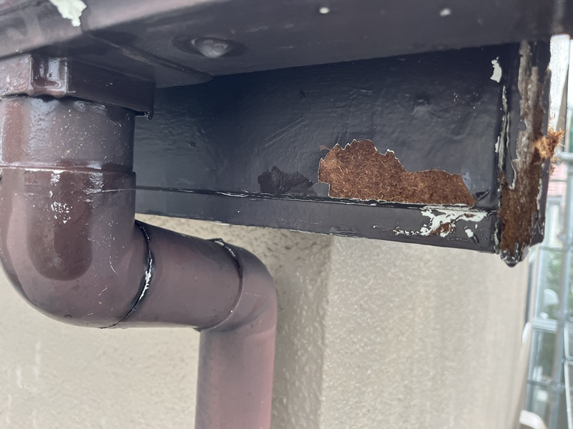 鼻隠し劣化状況